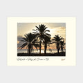 WILD PALMS